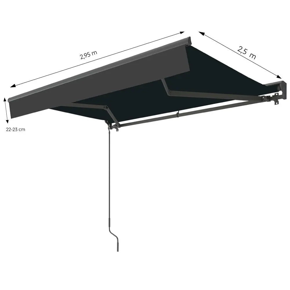 LOZIO 2.95x2.5 Hank Decor