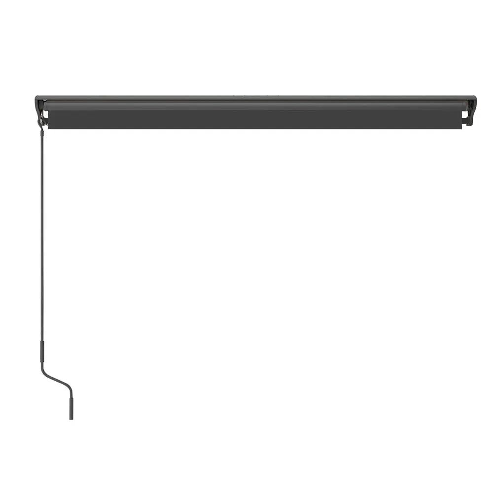 LOZIO 2.95x2.5 Hank Decor