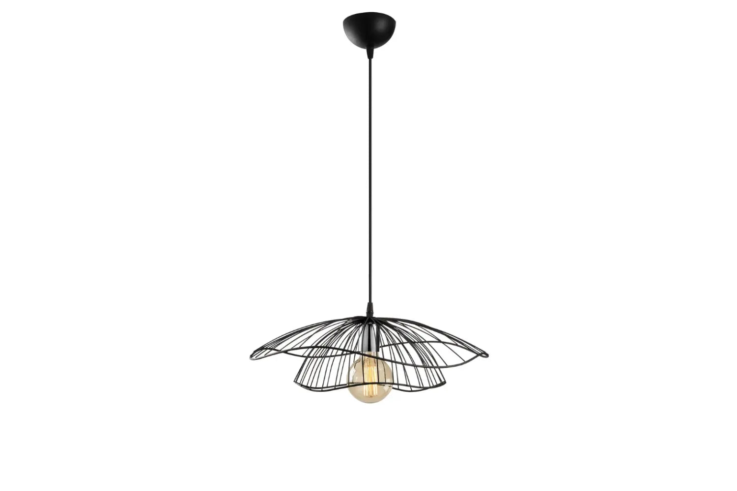 LOLA Hank Decor