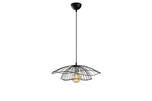 LOLA Hank Decor